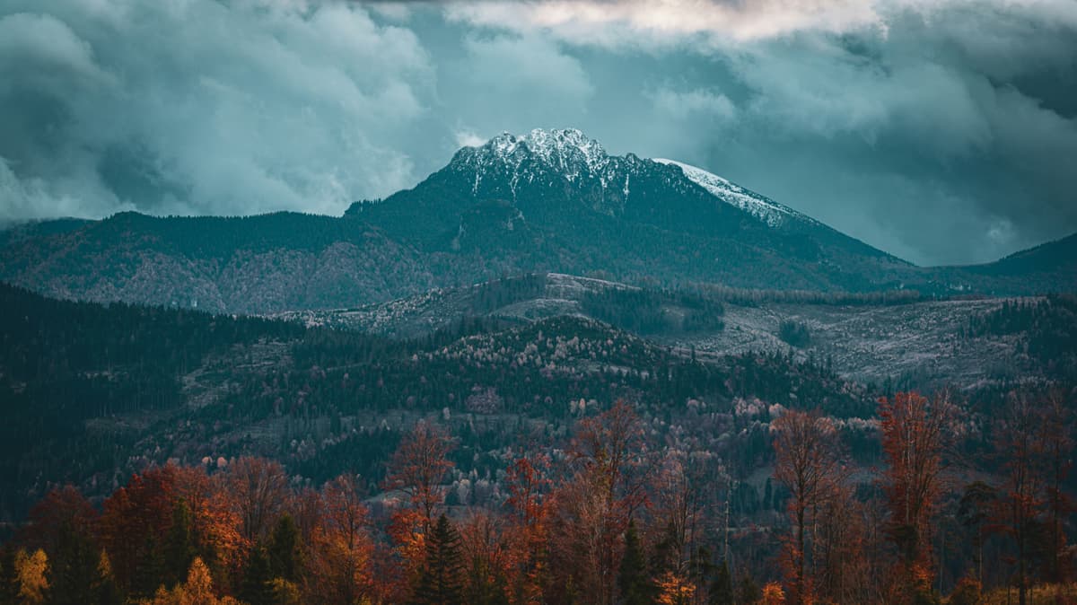 The Off-Season Playbook: Why Shoulder Season is the Real Peak Season