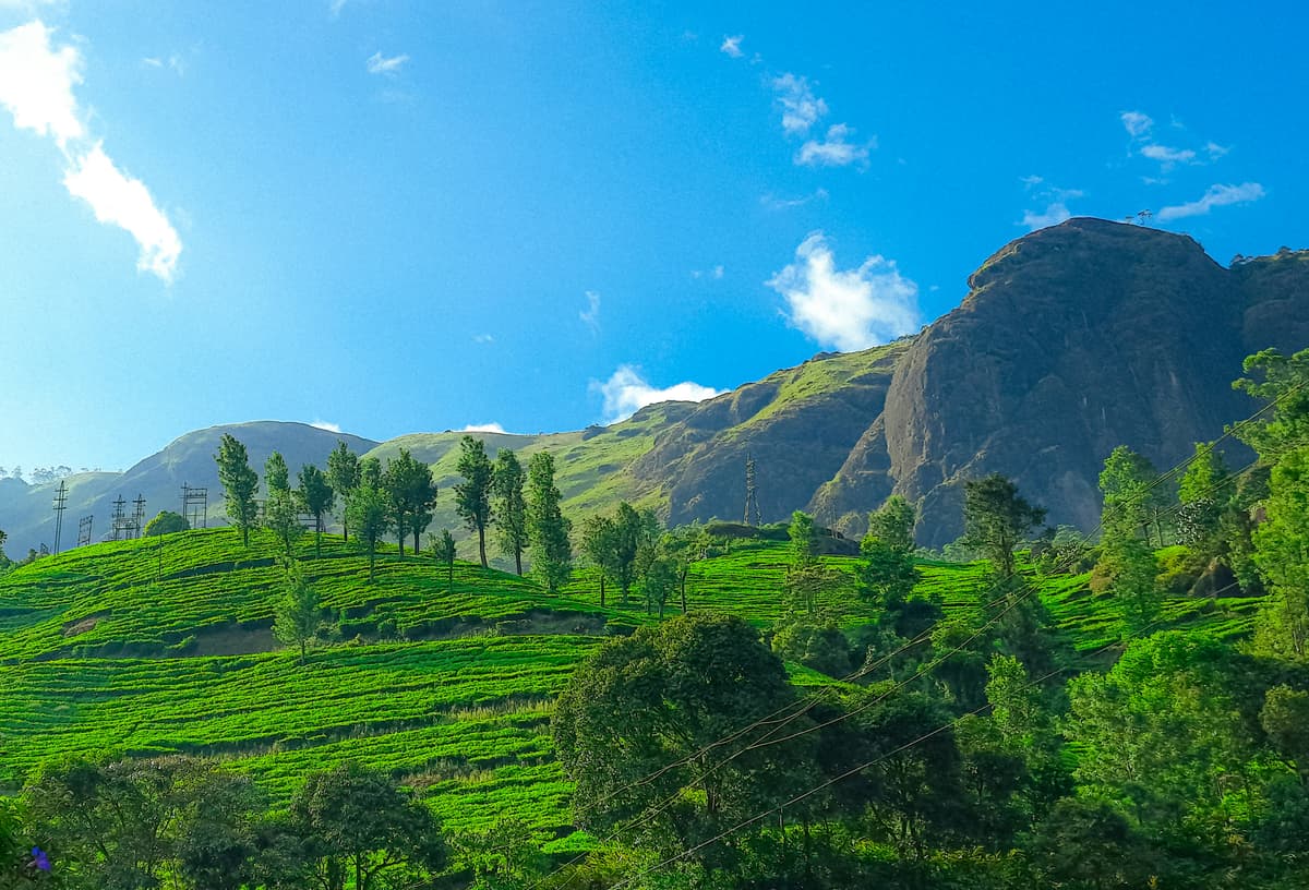 Chasing Wonder: A Backpacker's Guide to Earth's Wildest Corners